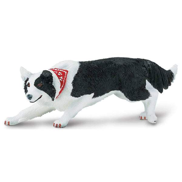 The Best Dog Toys for Border Collies - ColliePoint