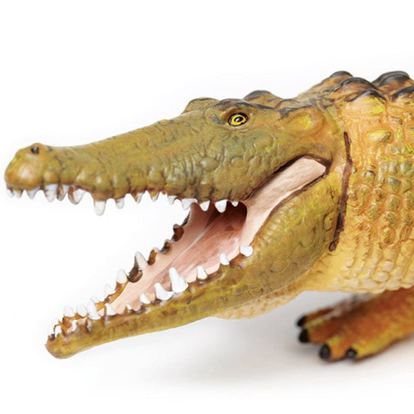 Saltwater crocodile hot sale toy