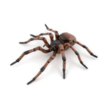 Papo Common Spider Figure 50292 - Radar Toys