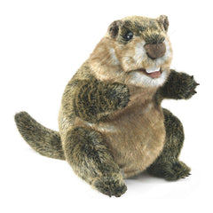 Folkmanis Groundhog 8 Inch Plush Puppet - Radar Toys