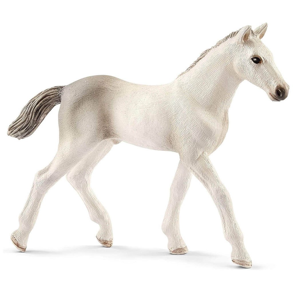 Schleich Holsteiner Foal Horse Animal Figure 13860 - Radar Toys