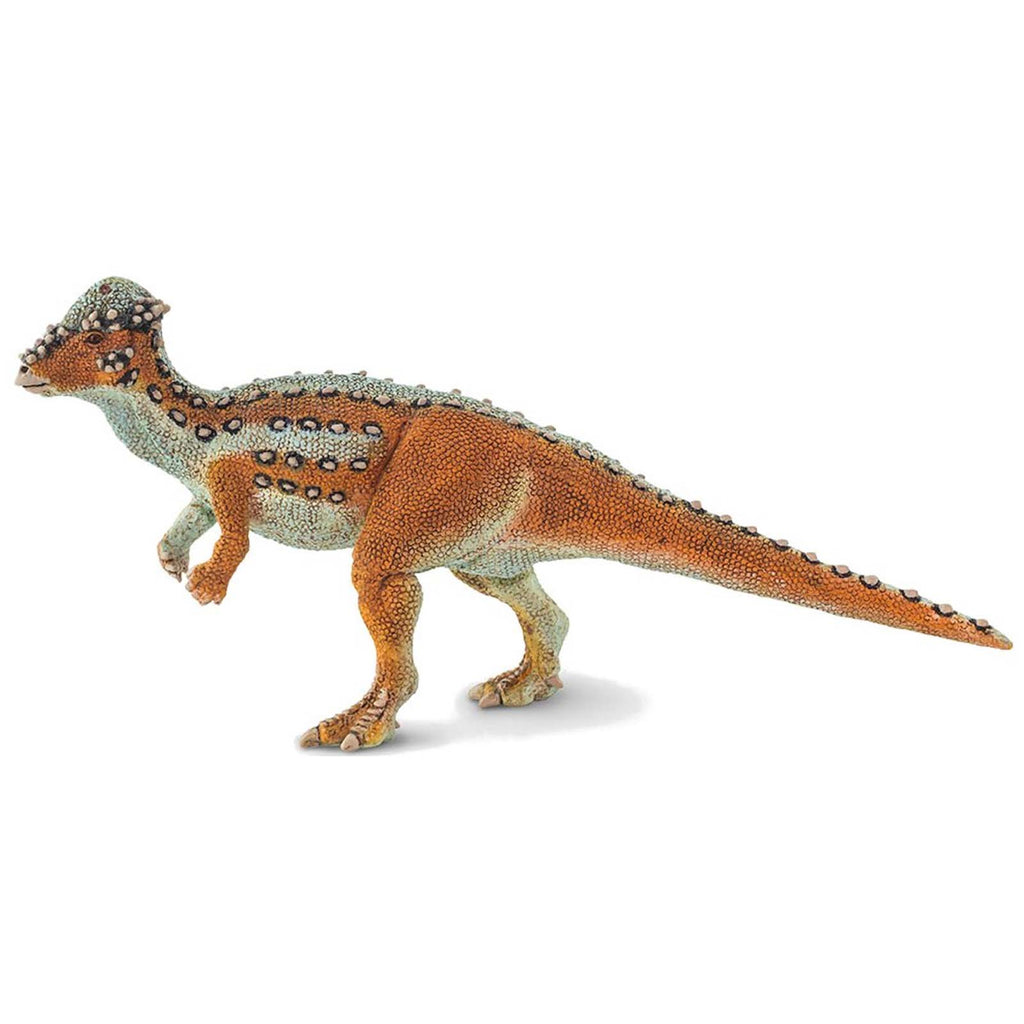 Safari Ltd Pachycephalosaurus Dinosaur Figure 100350