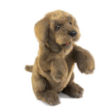 Folkmanis Dog Sitting 14 Inch Plush Puppet