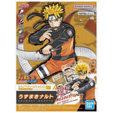 Bandai Naruto Shippuden Entry Grade Uzumaki Naruto Model Kit - Radar Toys