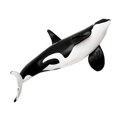 Safari Ltd Type D Orca Ocean Figure 103538 - Radar Toys