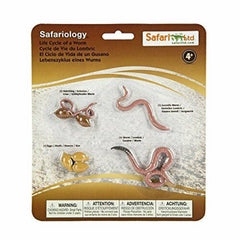 Life Cycle Of A Worm Figures Safari Ltd 664016 - Radar Toys