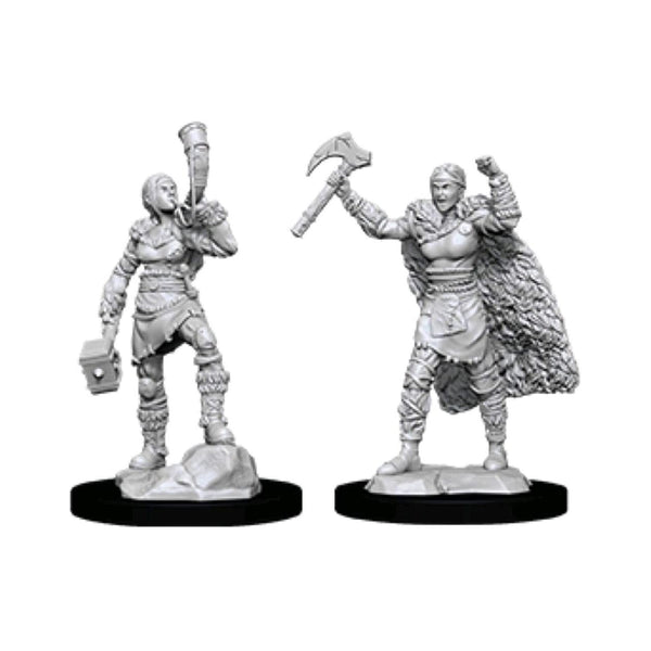 Dungeons and Dragons Female Human Barbarian Nolzur's Miniatures | Radar ...