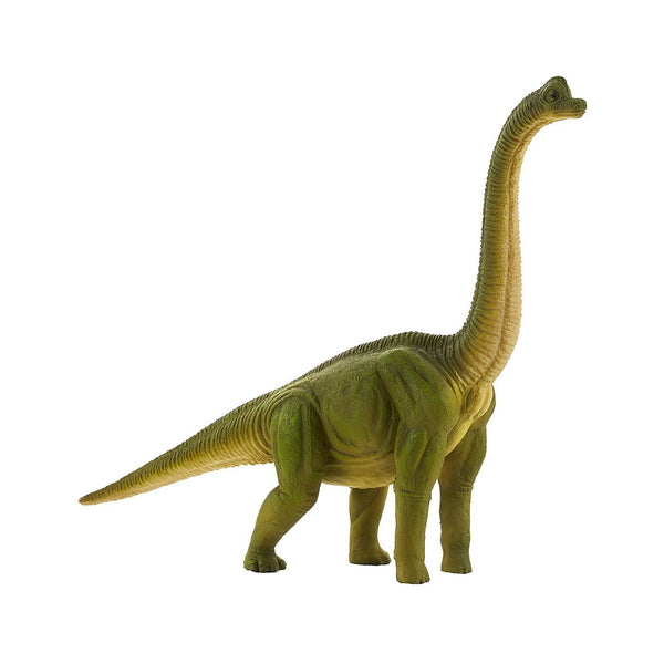 MOJO Brachiosaurus Dinosaur Figure 387212 | Radar Toys