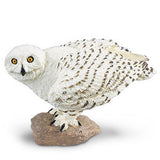 Snowy Owl Wings of the World Birds Figure Safari Ltd - Radar Toys