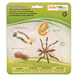 Life Cycle Of A Mosquito Figures Safari Ltd - Radar Toys