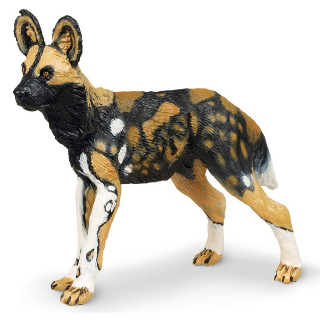 African Wild Dog Wildlife Figure Safari Ltd