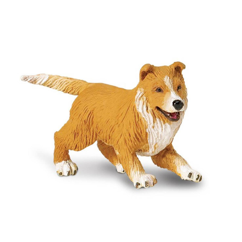 Collie Puppy Best In Show Dogs Figure Safari Ltd - Radar Toys