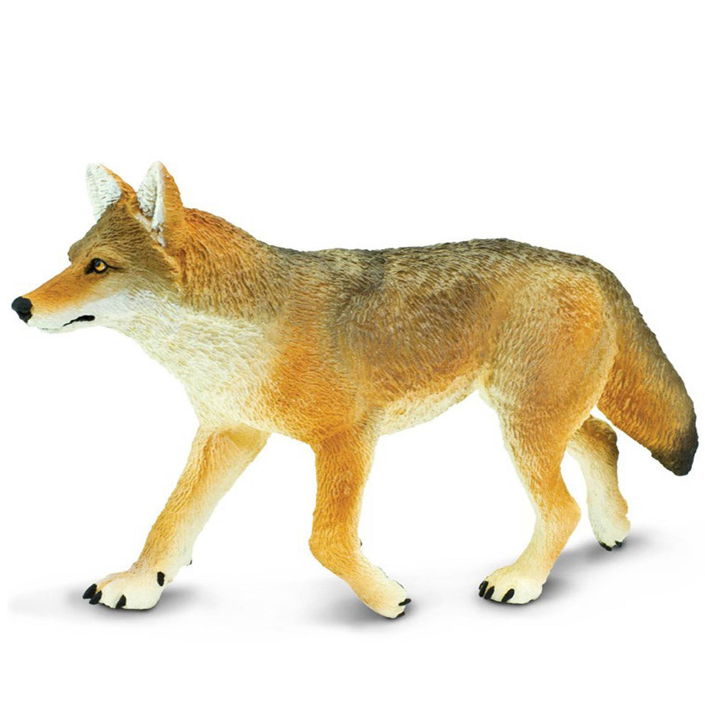 Coyote Wildlife Wonders Figure Safari Ltd