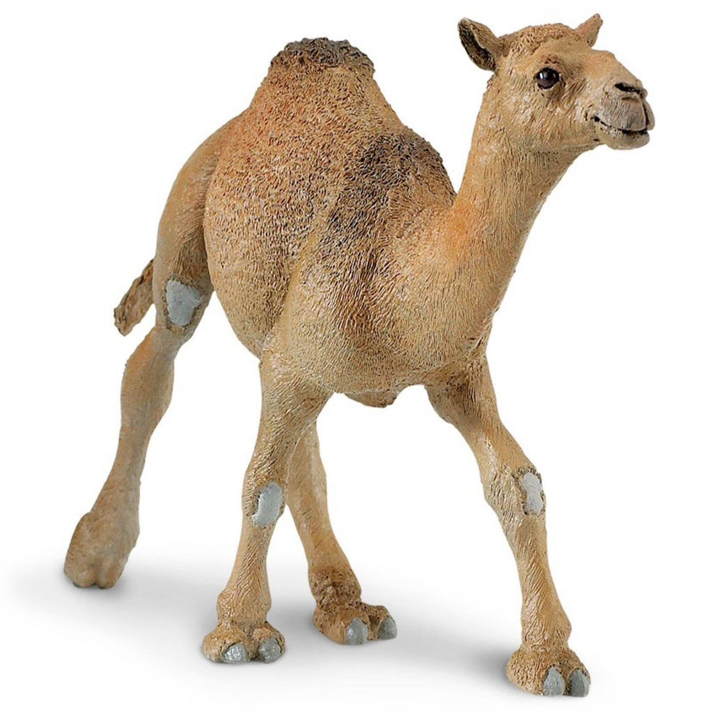 Dromedary Camel Wildlife Figure Safari Ltd