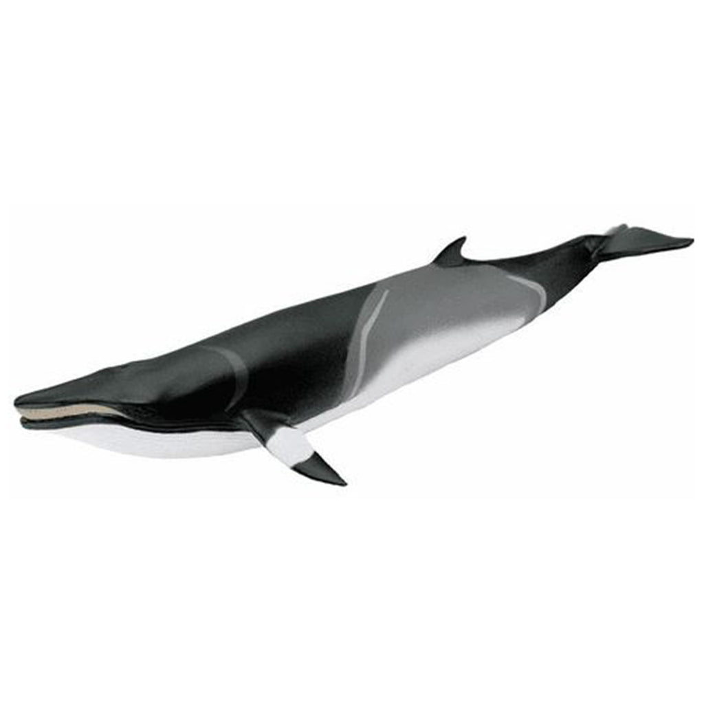 Minke Whale Animal Figure Safari Ltd 100413 - Radar Toys