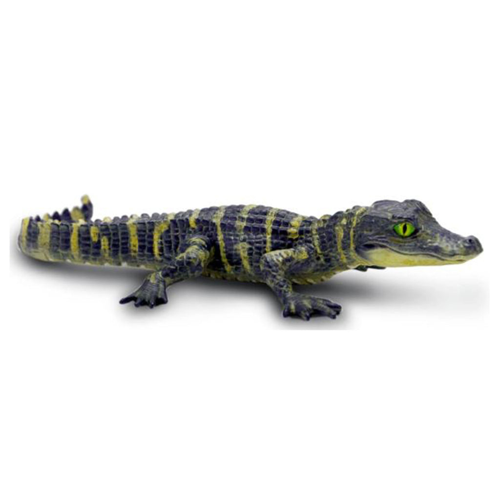 Alligator Baby Animal Figure Safari Ltd 101073