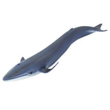 Blue Whale Sea Life Safari Ltd - Radar Toys