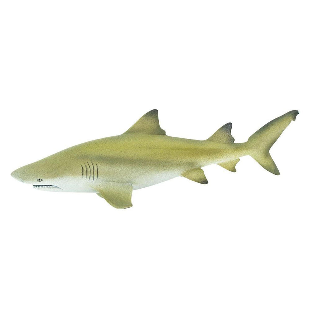 Lemon Shark Ocean Figure Safari Ltd 100097