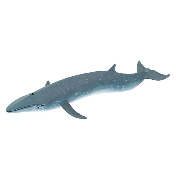 Sei Whale Ocean Figure Safari Ltd 100098 | Radar Toys